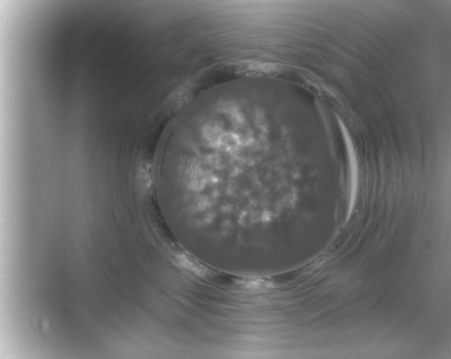 X0000069360621200605150918