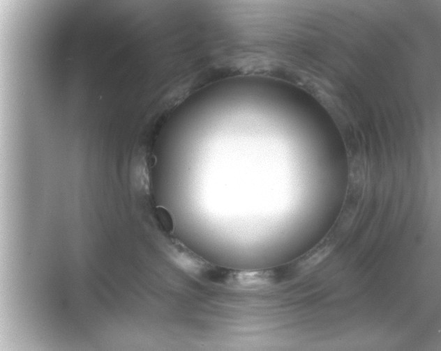 X0000069360622200605150918