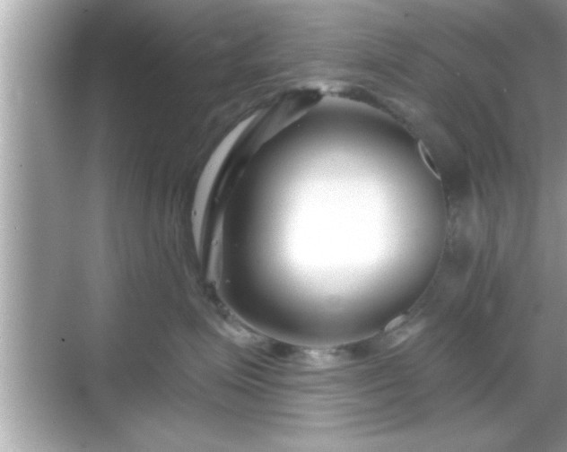 X0000069360623200605150918