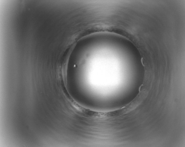 X0000069360624200605150918