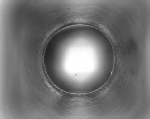 X0000069360625200605150917