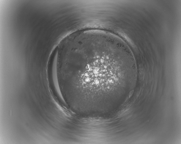 X0000069360626200605150917