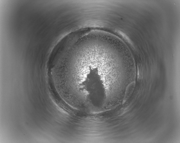 X0000069360627200605150917