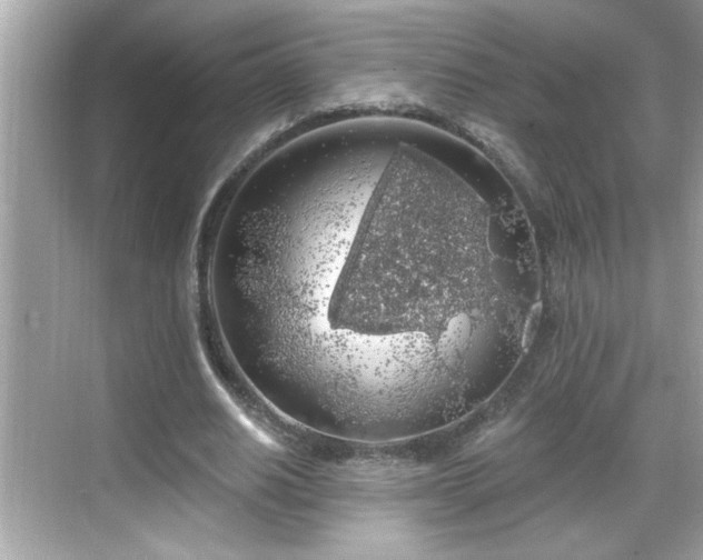 X0000069360630200605150917