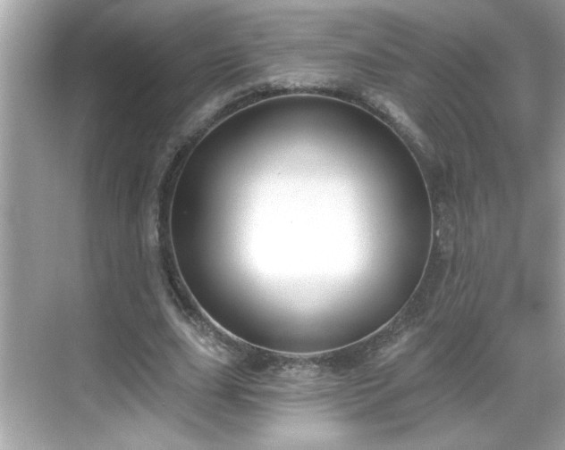 X0000069360631200605150917