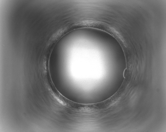 X0000069360633200605150917