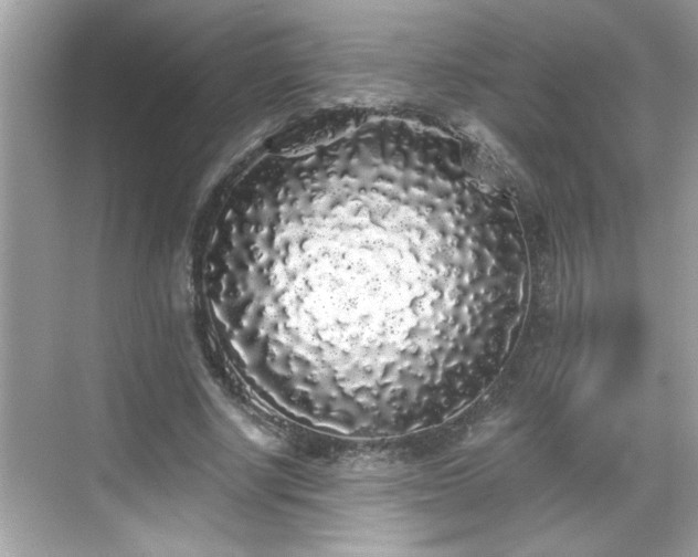 X0000069360634200605150917