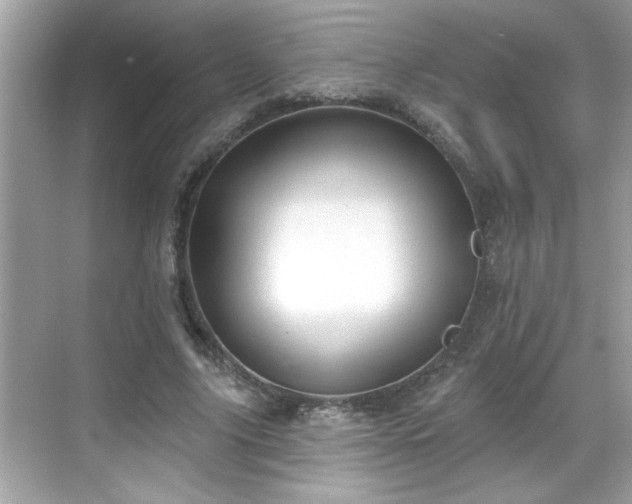 X0000069360635200605150917