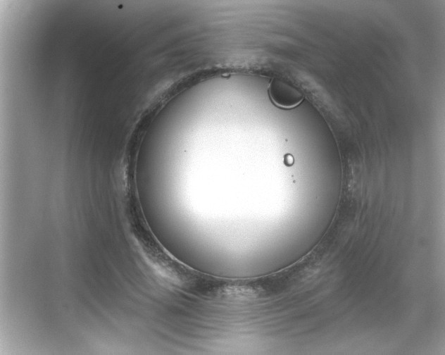 X0000069360636200605150917