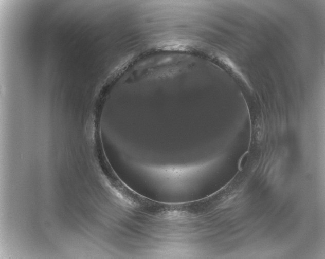 X0000069360637200605150917