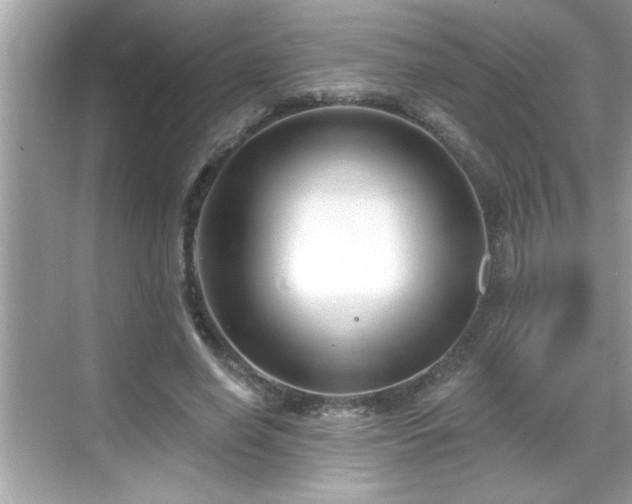 X0000069360638200605150917