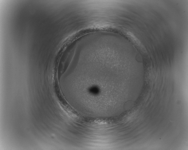 X0000069360640200605150917