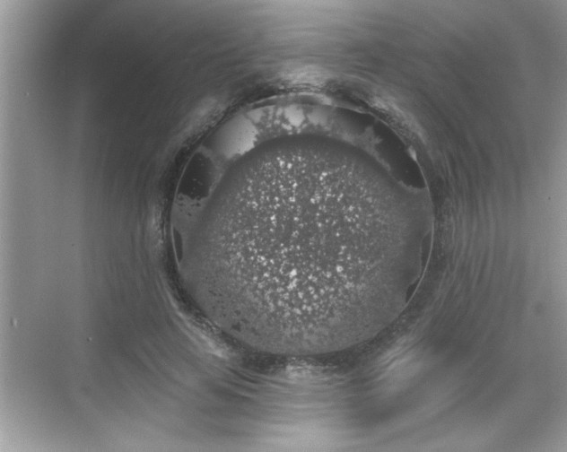 X0000069360641200605150917