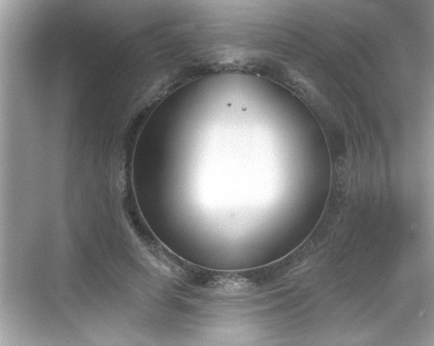 X0000069360642200605150917