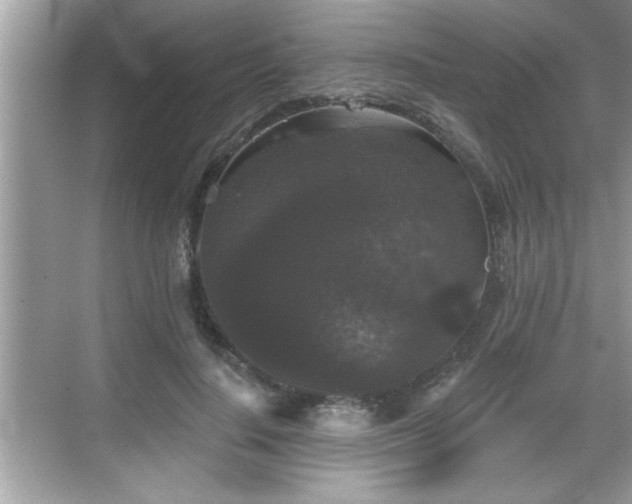 X0000069360644200605150917