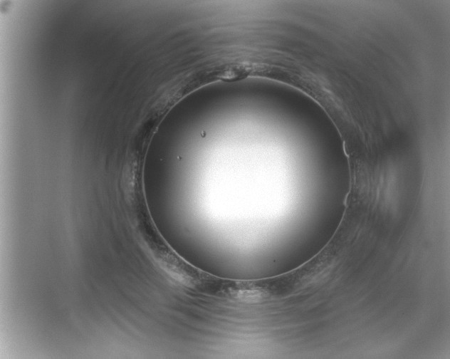 X0000069360645200605150917