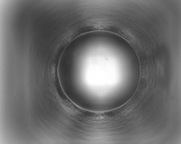 X0000069360646200605150917