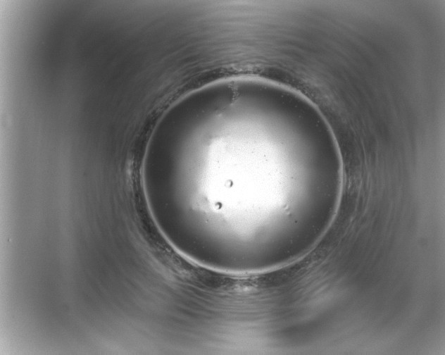 X0000069360647200605150917