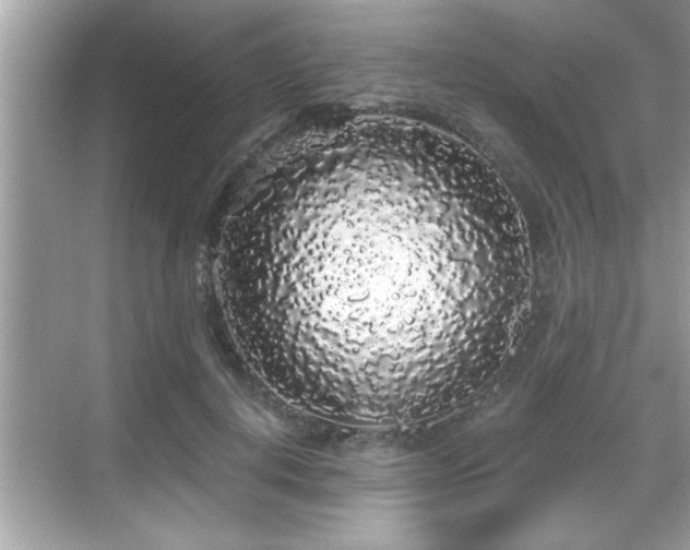 X0000069360648200605150917