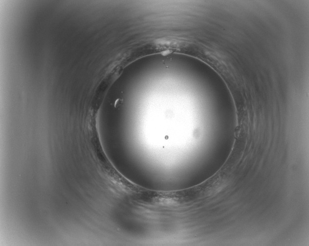 X0000069360649200605150917