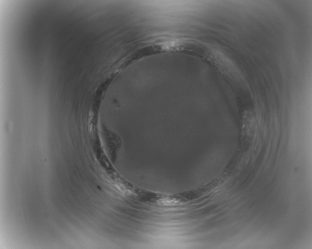 X0000069360650200605150917