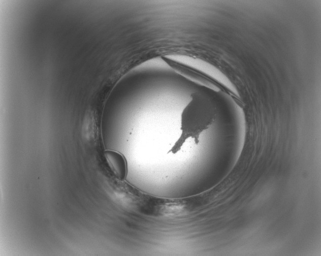 X0000069360651200605150918