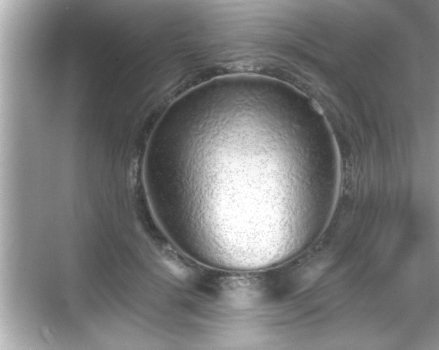 X0000069360652200605150918