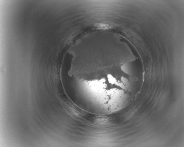 X0000069360653200605150918