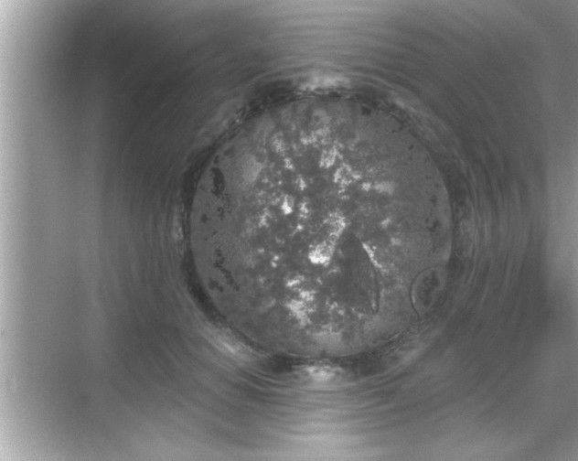 X0000069360654200605150918