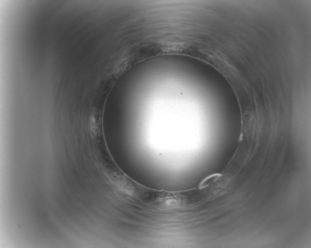 X0000069360655200605150918