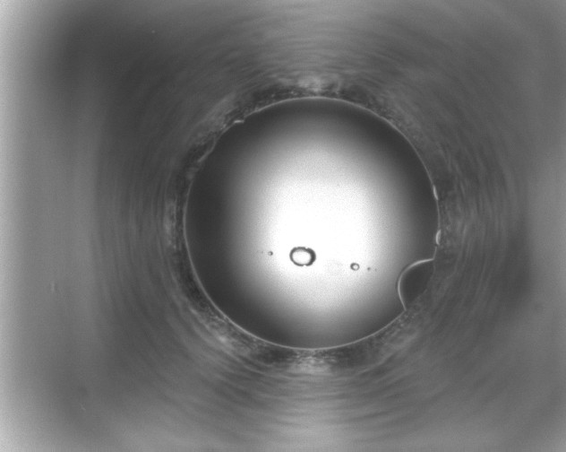 X0000069360656200605150918