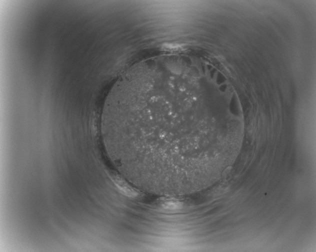 X0000069360658200605150918