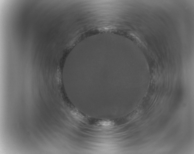 X0000069360659200605150918