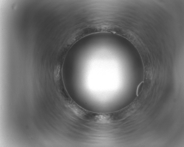 X0000069360660200605150918