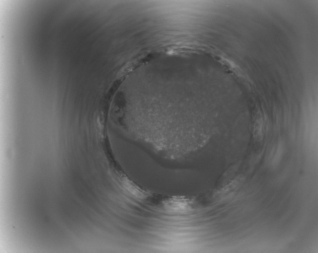 X0000069360661200605150918