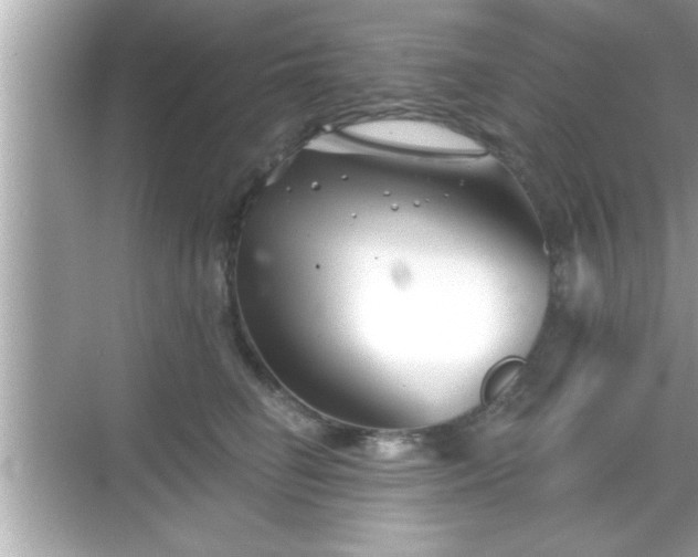 X0000069360662200605150918