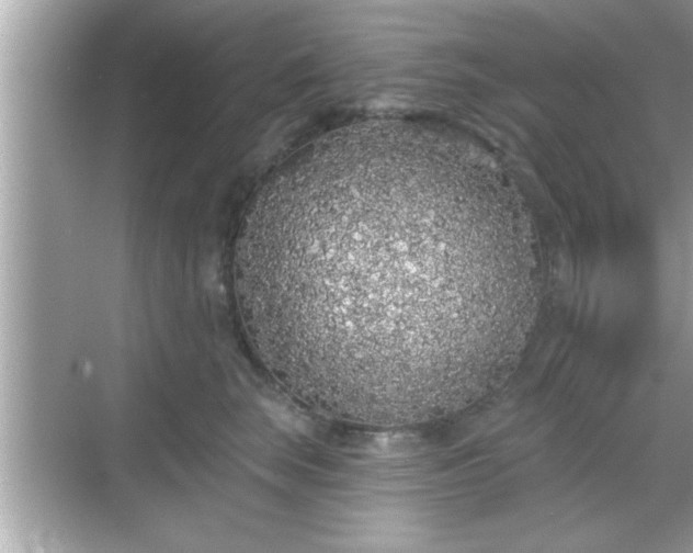 X0000069360663200605150918