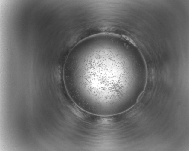 X0000069360664200605150918