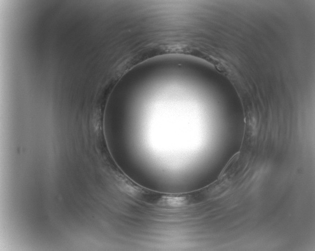 X0000069360665200605150918