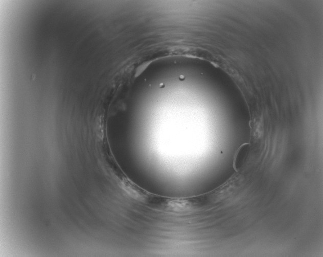 X0000069360666200605150918