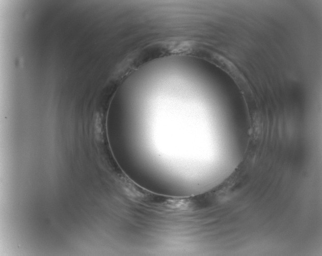 X0000069360667200605150918