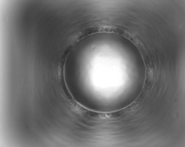 X0000069360668200605150918