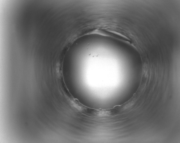 X0000069360670200605150918