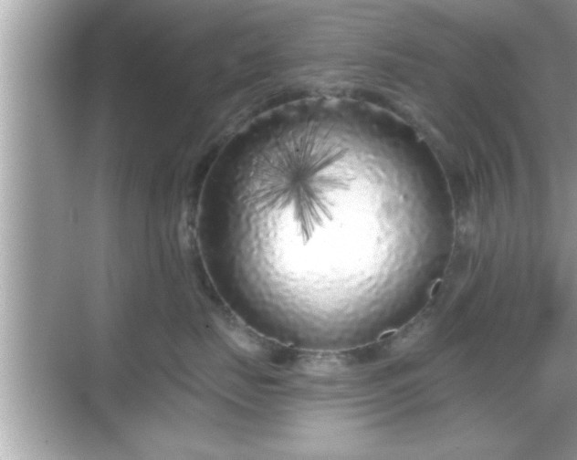 X0000069360671200605150918