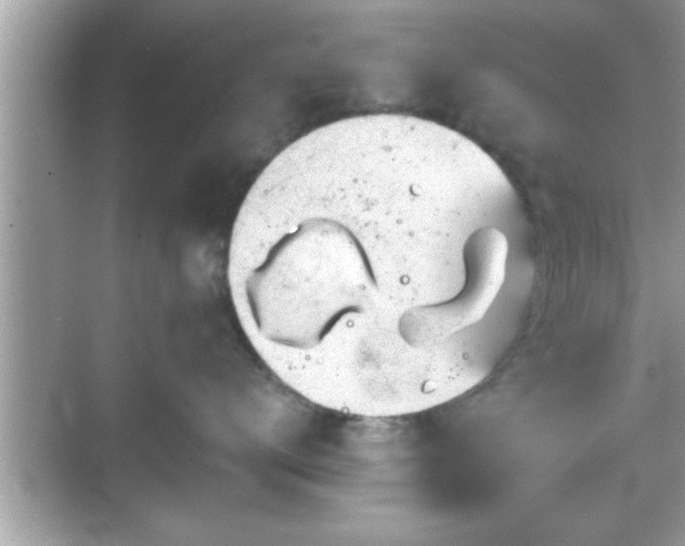 X0000069360672200605150918