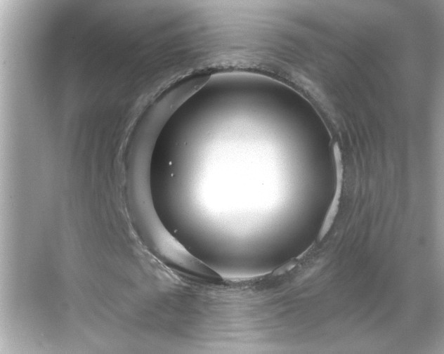 X0000069360673200605150917