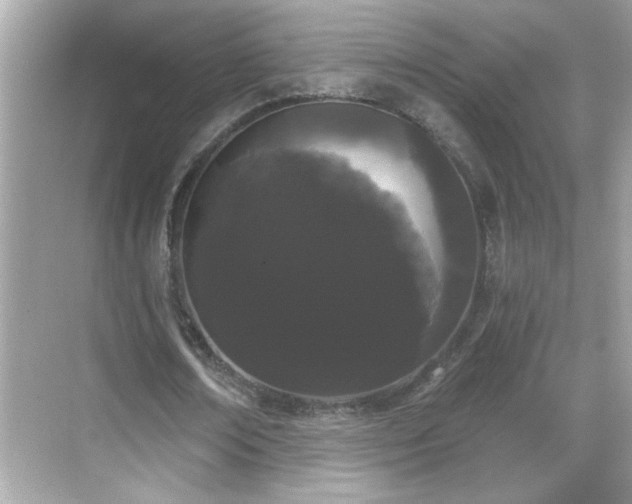 X0000069360674200605150917