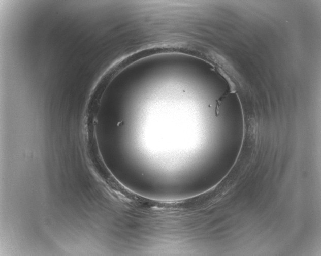 X0000069360676200605150917