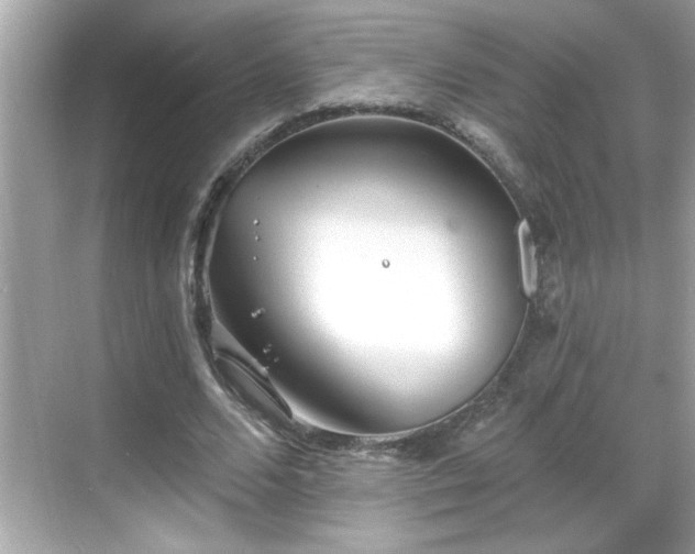 X0000069360680200605150917