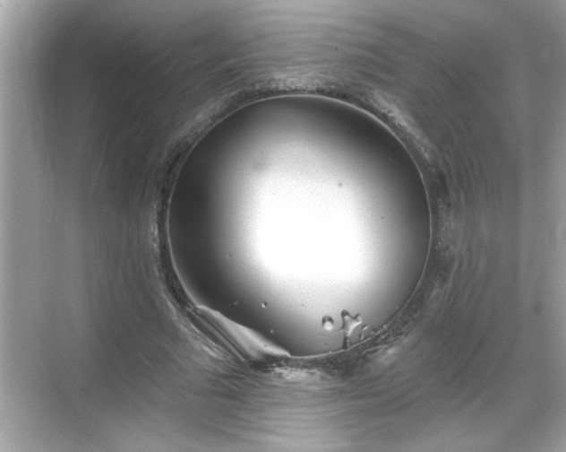 X0000069360681200605150917